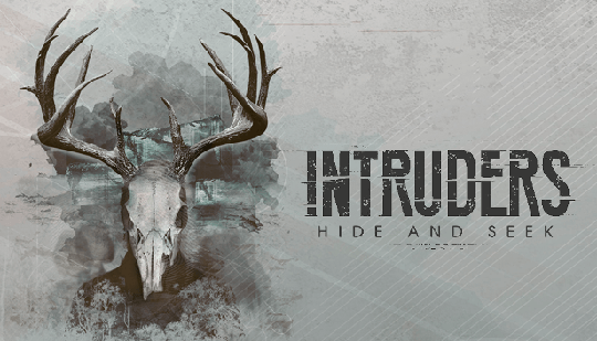 Intruders: Hide and Seek