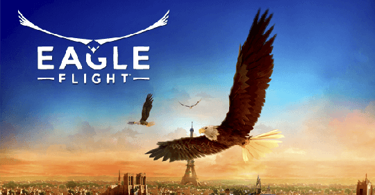 Eagle Flight