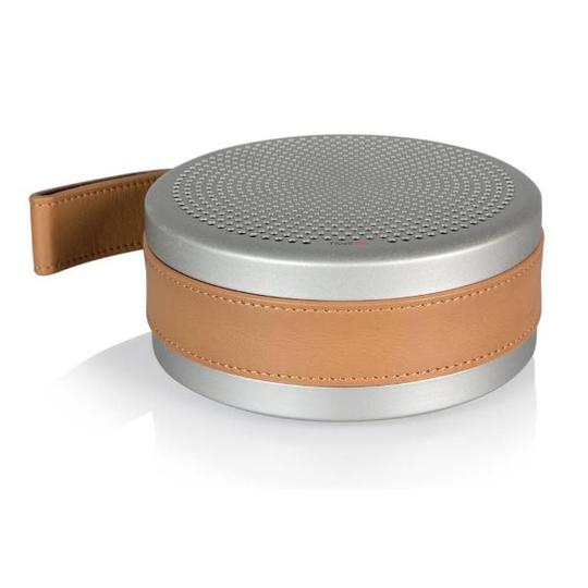 Tivoli Audio Andiamo, Silver