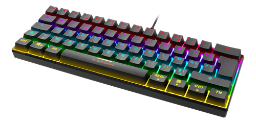 DELTACO GAMING Mechanical Keyboard, 60% Layout, RGB, Red Switches